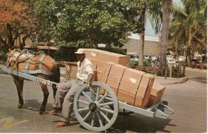 NativeTwoWheelCart.jpg.w560h361