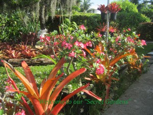 Butlers Secret Gardens_Welcome