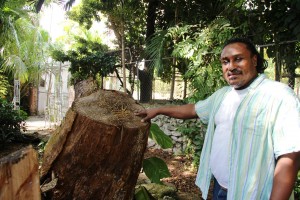 Andret_Little Ordhard_6