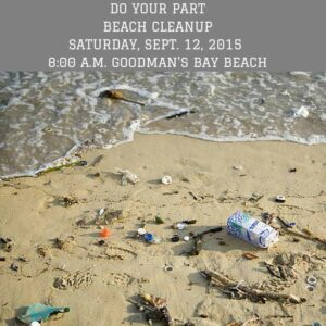 Beach Clean up 2