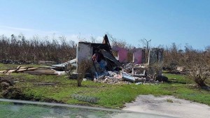 Remnants of house Roses Long Island