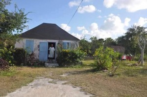 Roses - Long Island 2